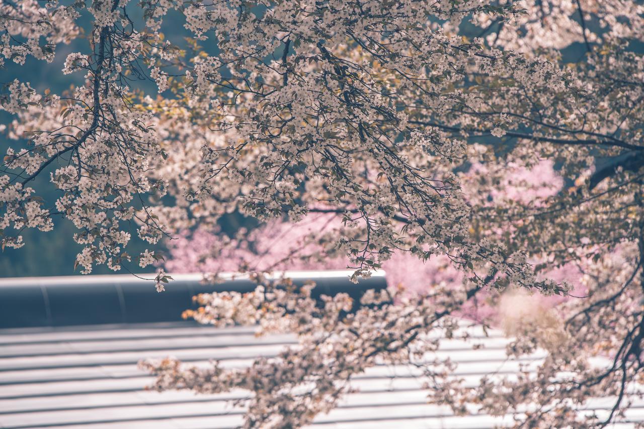 Отель Kaze No Hibiki Никко Экстерьер фото